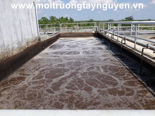 Hệ thống xử lý nước thải trang trại - Công Ty TNHH Thương Mại Và Dịch Vụ Môi Trường Việt